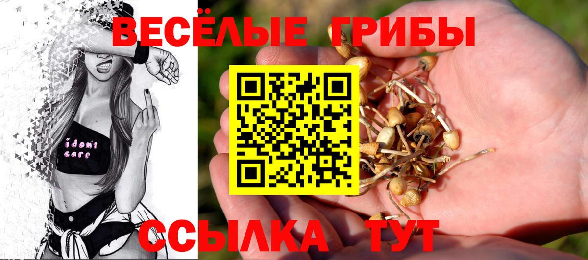 Галлюциногенные грибы мицелий  Вход с VPN  Светлоград 