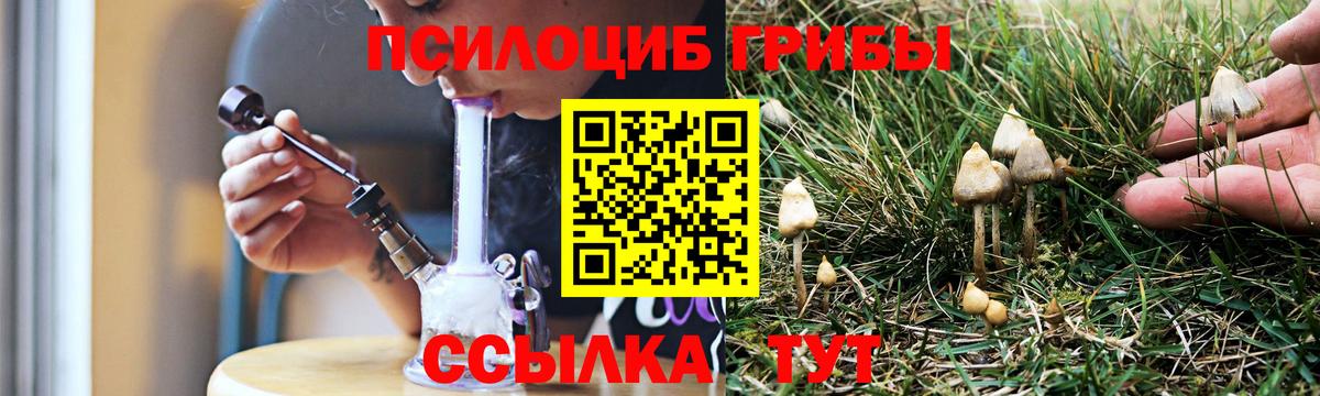 Псилоцибиновые грибы прущие грибы Светлоград
